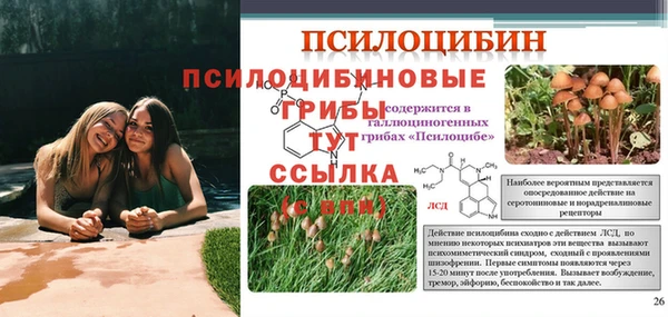 тгк Рославль