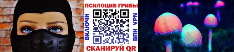 магазин продажи   Курганинск  Галлюциногенные грибы Psilocybine cubensis 