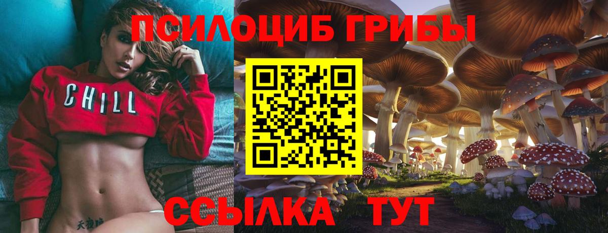 Галлюциногенные грибы прущие грибы Курганинск