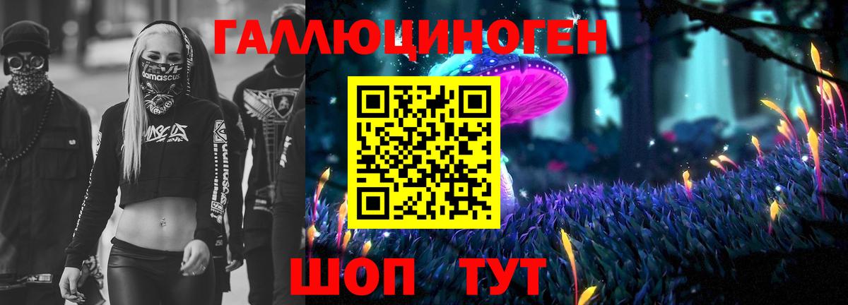 Псилоцибиновые грибы Psilocybine cubensis  Вход с VPN  Курганинск 