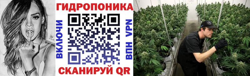 где купить наркоту  Курганинск  Бошки Шишки Ganja 